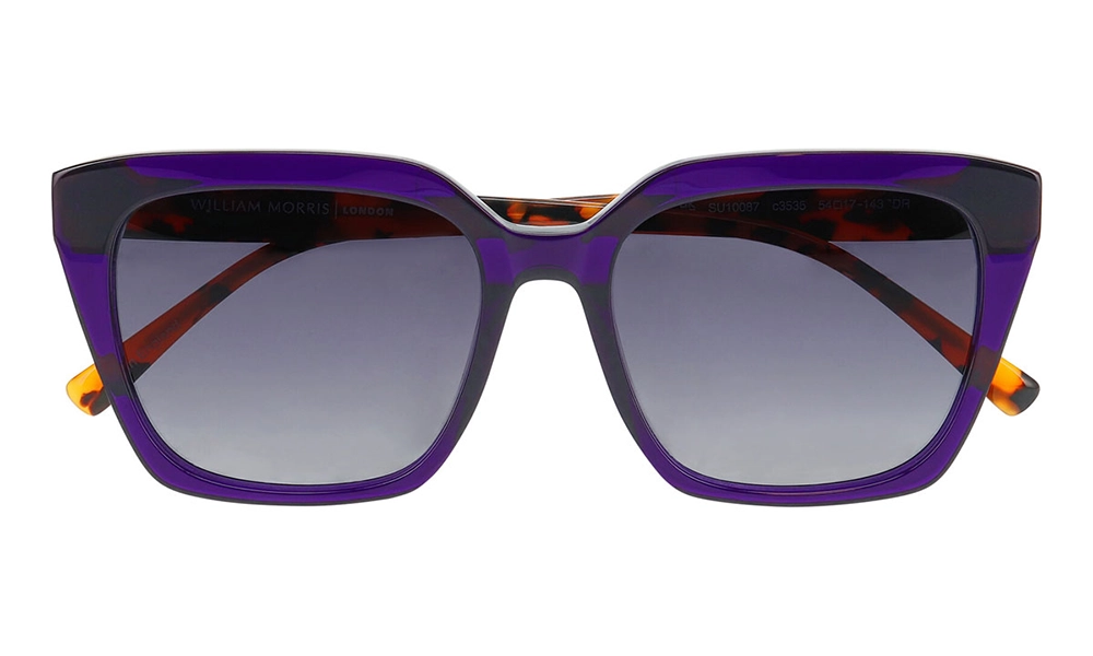 Солнцезащитные очки William Morris 10087 3535