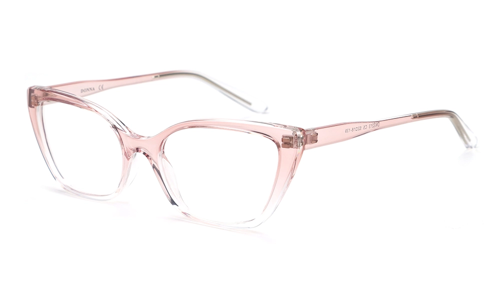 Оправа DONNA DN3213 C5
