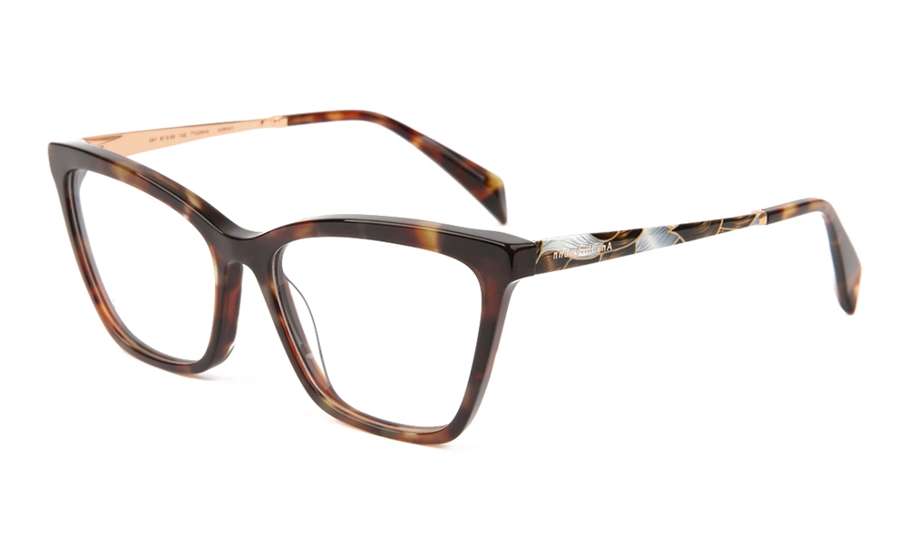 Оправа ANA HICKMANN AH6527T G21