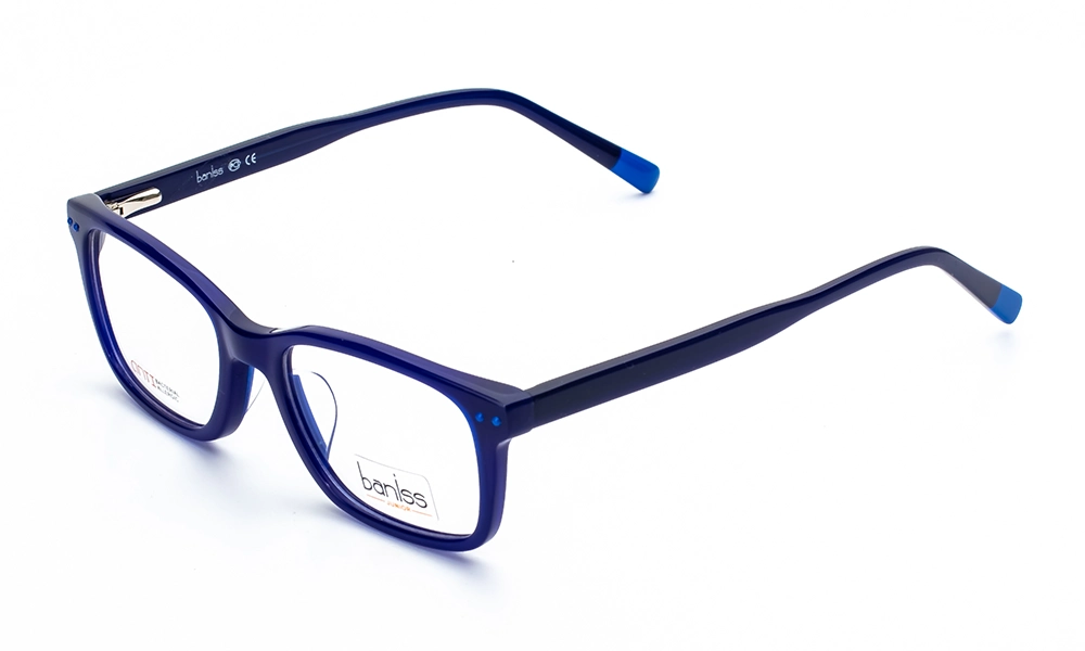 Очки для зрения BANISS BSJ6070 C03