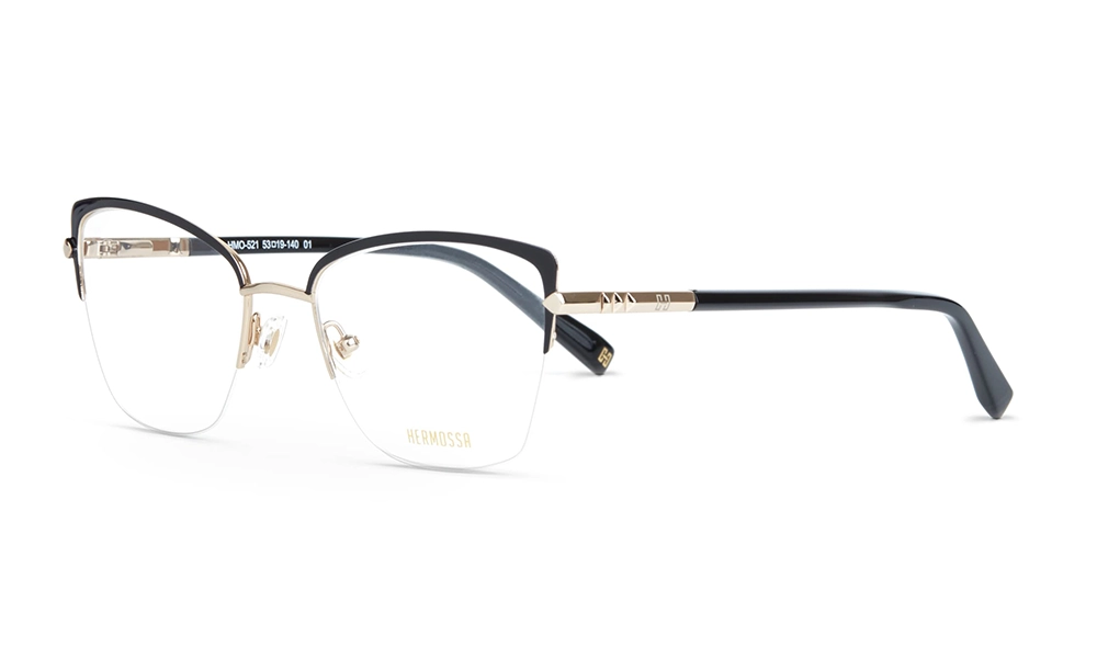 Очки для зрения HERMOSSA HMO 521 C1