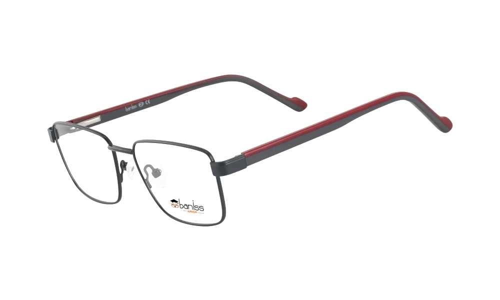 Очки для зрения BANISS BR6065 C01