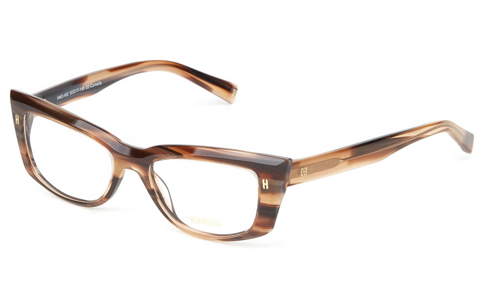 Очки для зрения HERMOSSA HMO 462 C2