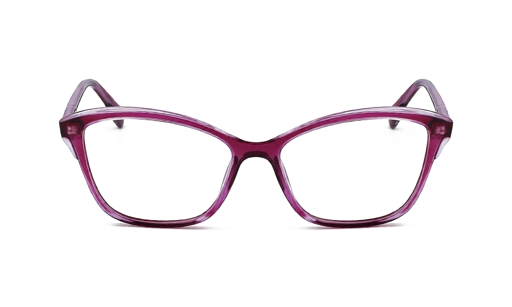 Оправа Karl Lagerfeld KL 6095 540