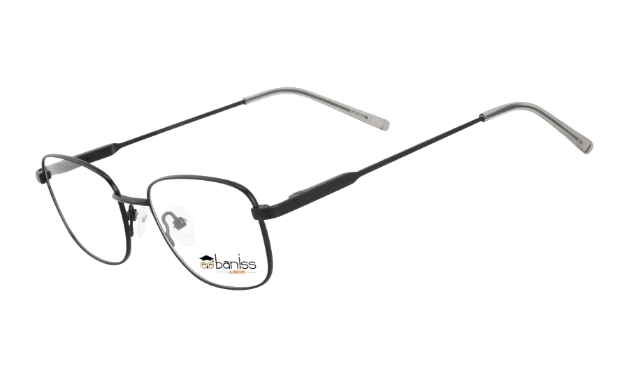 Очки для зрения BANISS BRJ4035 C01
