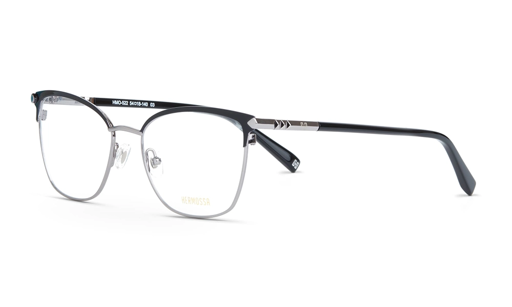 Очки для зрения HERMOSSA HMO 522 C3
