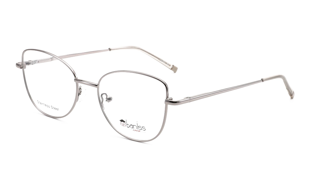 Очки для зрения BANISS BR5090A C03