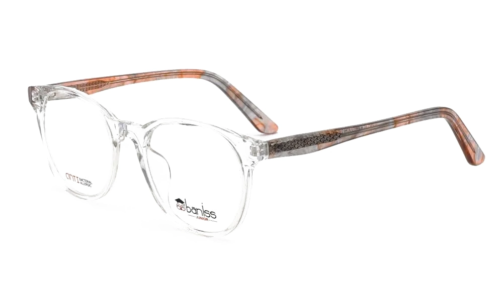 Очки для зрения BANISS BSJ5146 C02