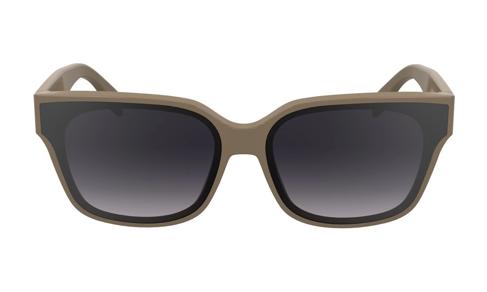 Солнцезащитные очки Karl Lagerfeld KL 6161S 272
