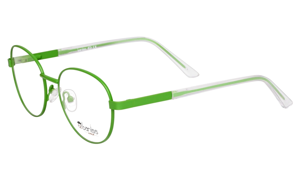 Очки для зрения BANISS BR5092 C03