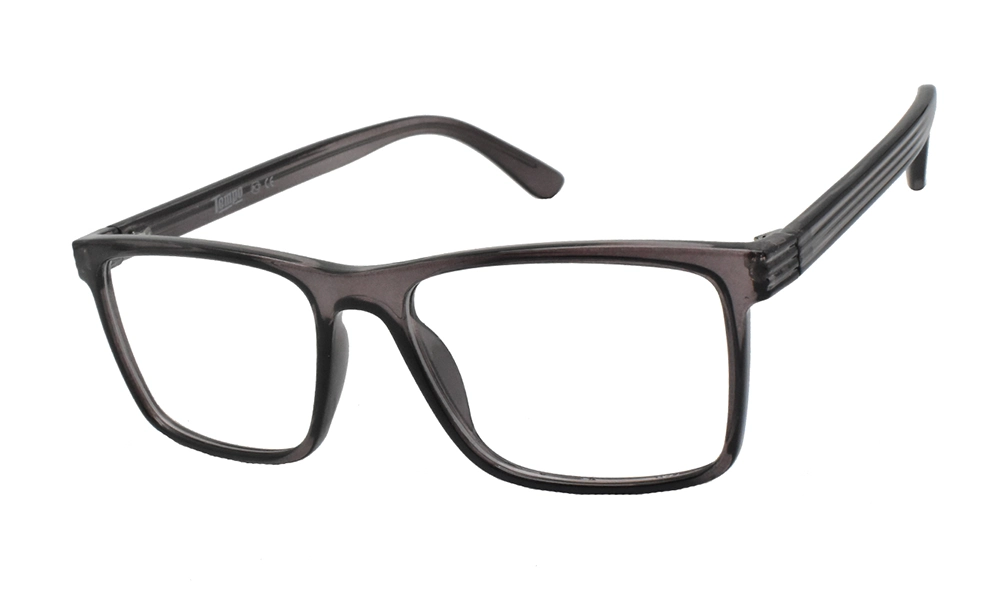 Очки для зрения TEMPO 8281 C03