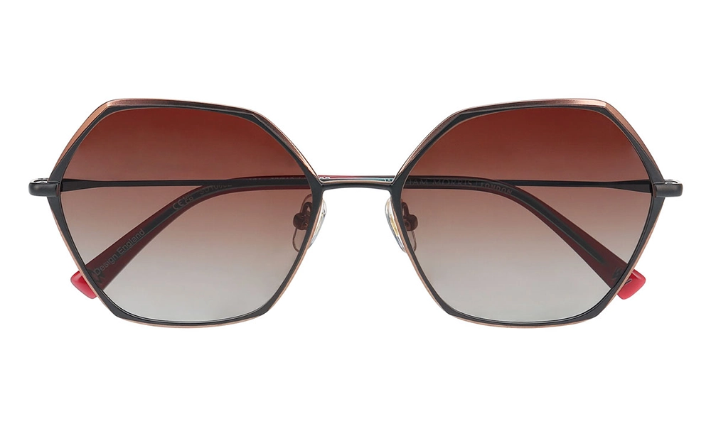 Солнцезащитные очки William Morris 10092 5021