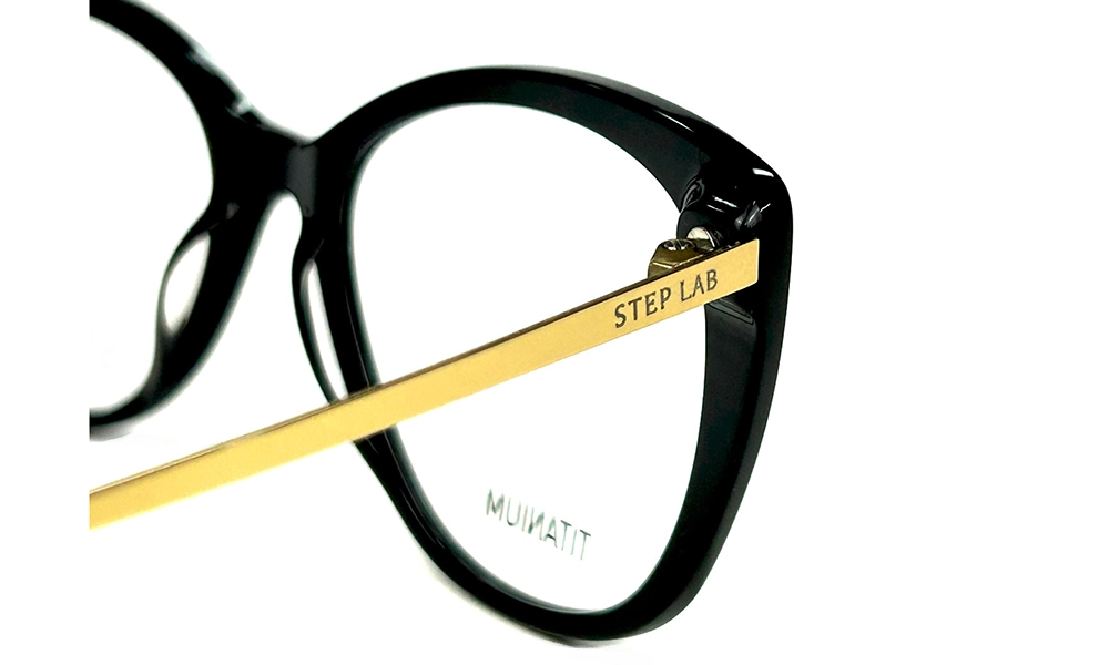 Оправа STEPPER STEP LAB SL 10023 F101