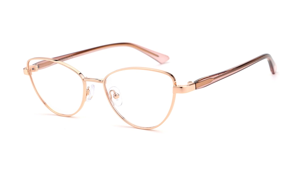 Очки для зрения DONNA DN3159 C3