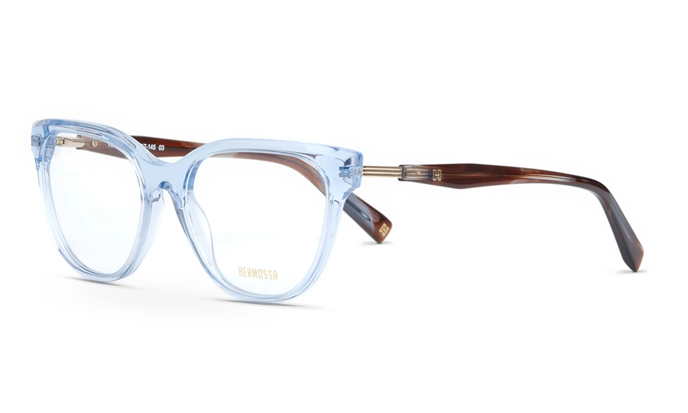 Очки для зрения HERMOSSA HMO 515 C3