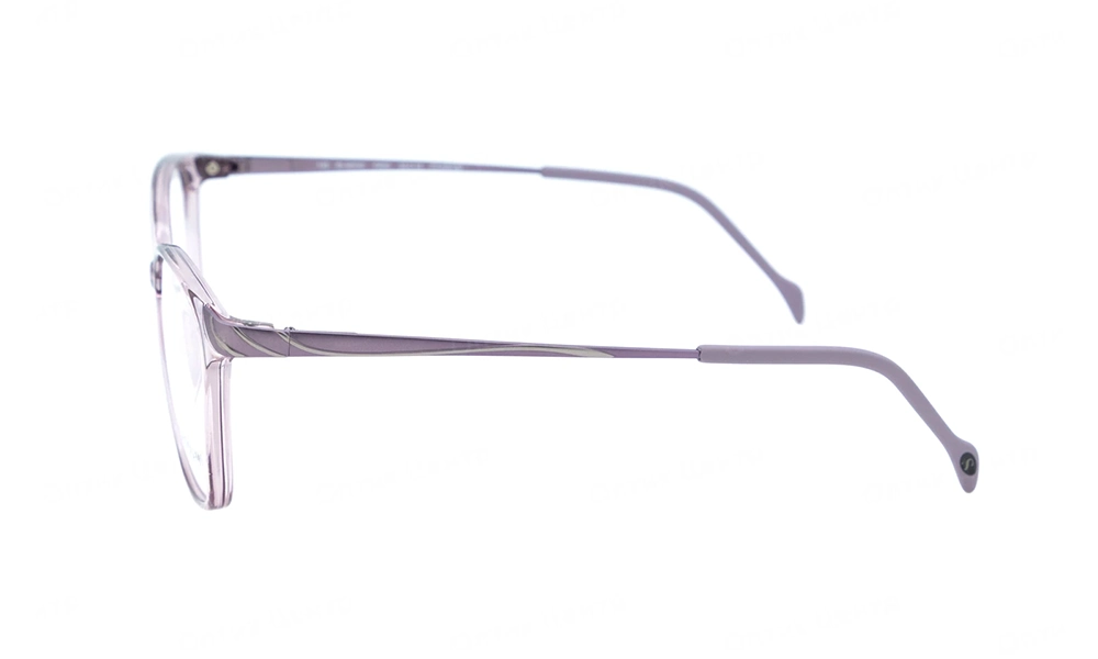 Оправа STEPPER SI-30232 F800