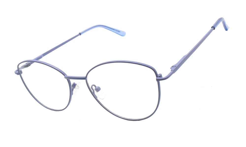 Очки для зрения BANISS BR5088 C02