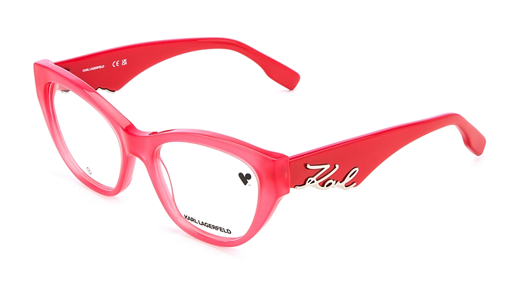 Оправа Karl Lagerfeld KL 6189 506