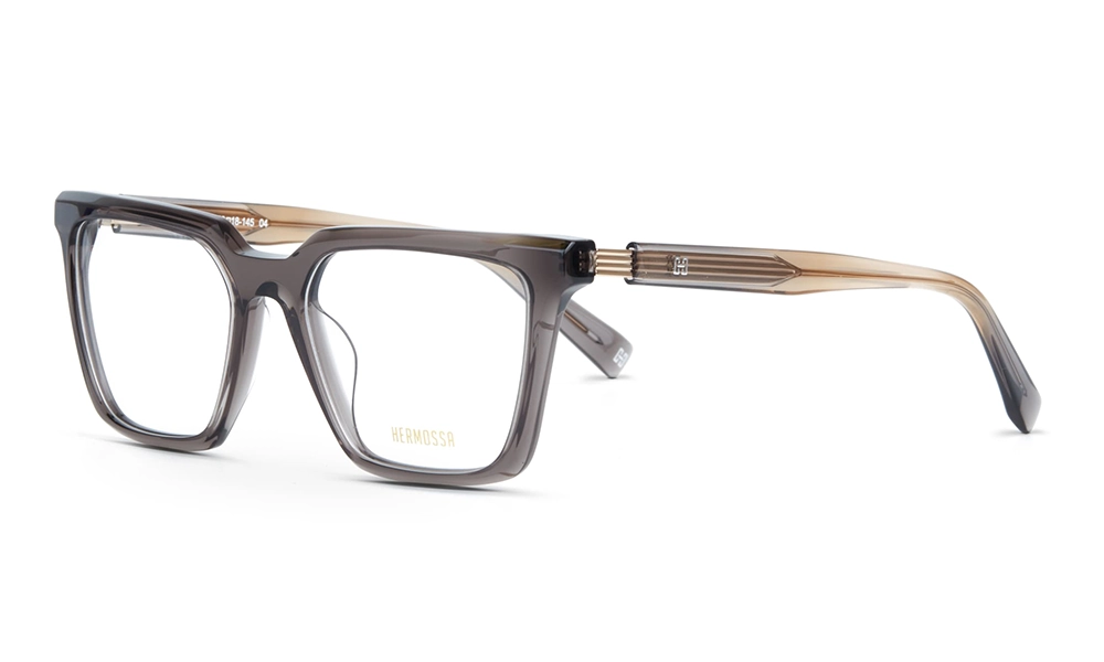 Очки для зрения HERMOSSA HMO 529 C4