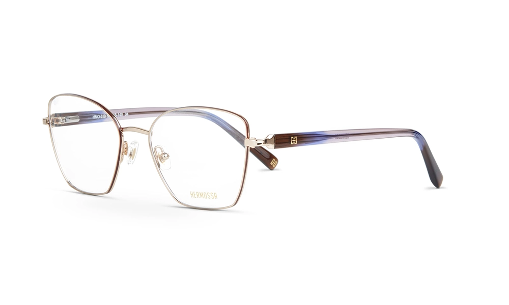 Очки для зрения HERMOSSA HMO 519 C4