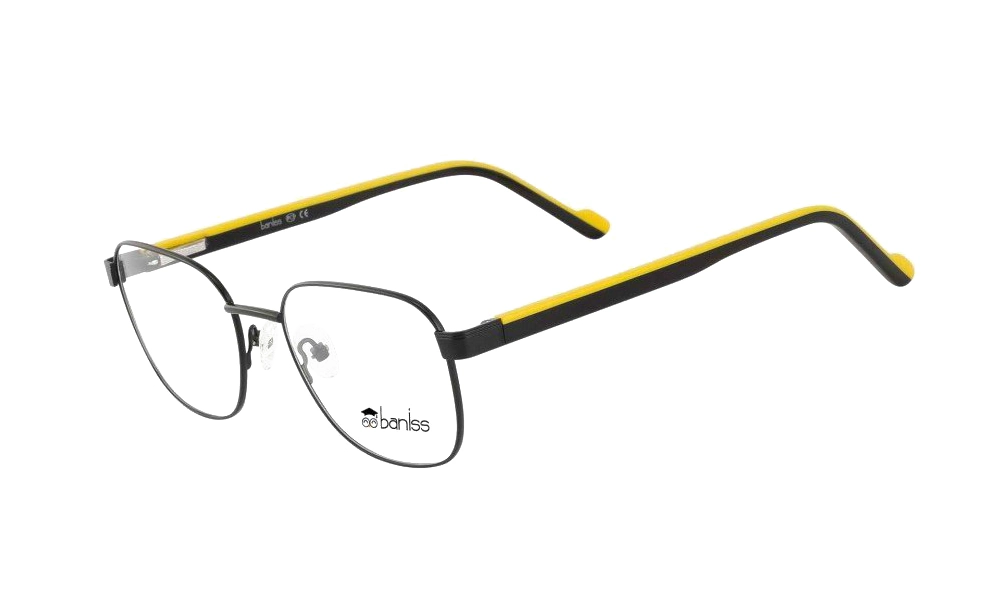 Очки для зрения BANISS BR7040 C01