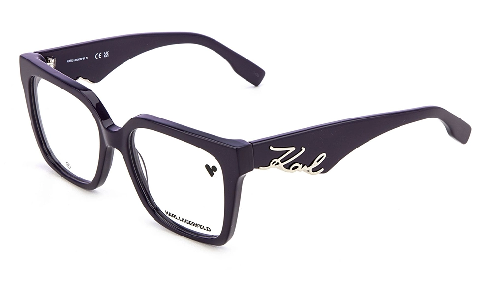 Оправа KARL LAGERFELD KL 6170 541