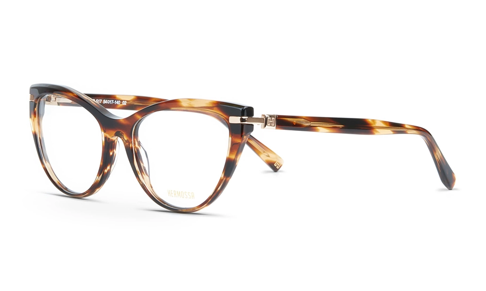 Очки для зрения HERMOSSA HMO 517 C2