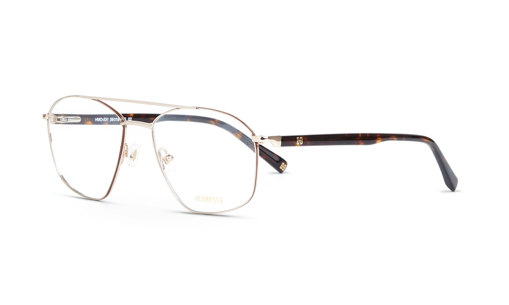 Очки для зрения HERMOSSA HMO 531 C2