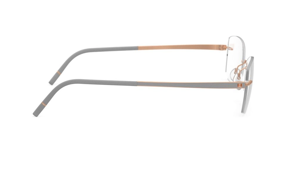 Оправа SILHOUETTE 5529_HC 6520