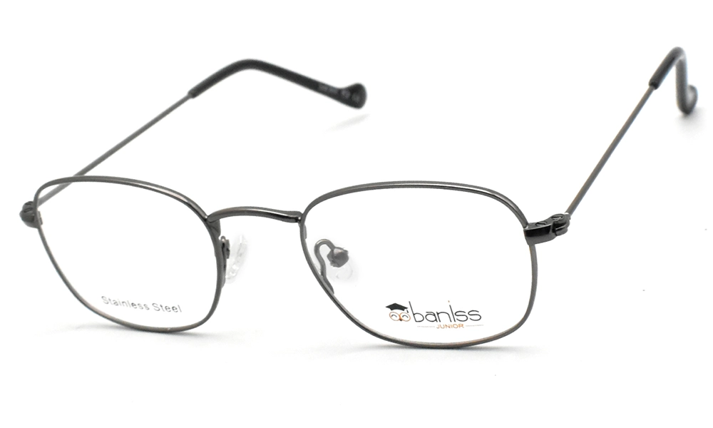 Очки для зрения BANISS BY1011 C02