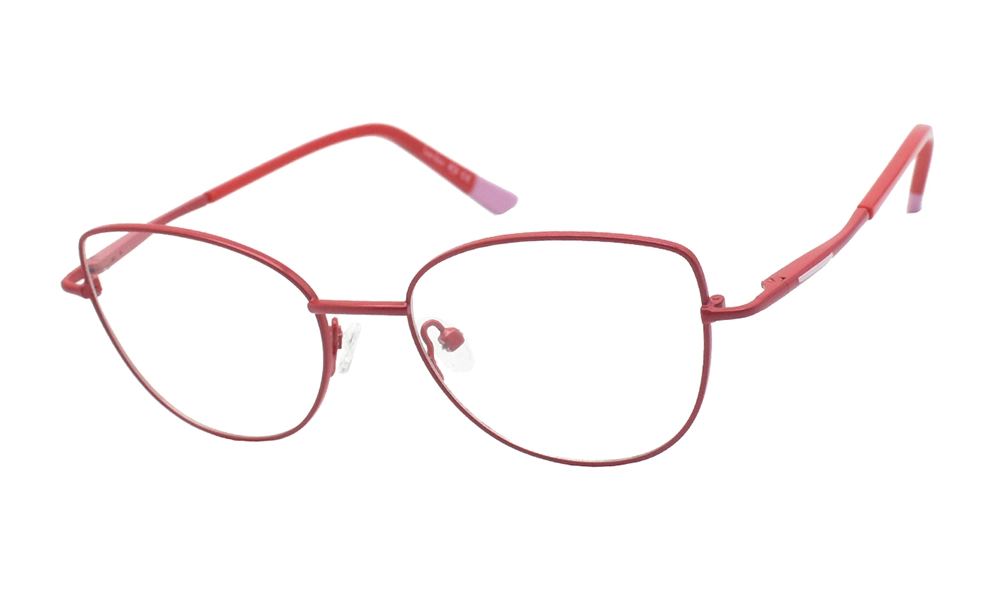 Очки для зрения BANISS BR5090 C02