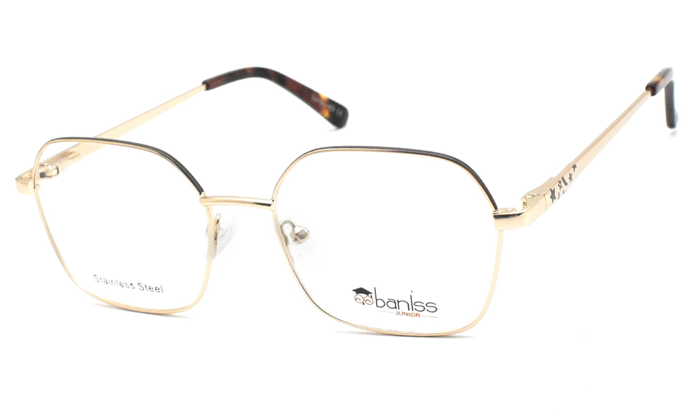 Очки для зрения BANISS BY1001 C03