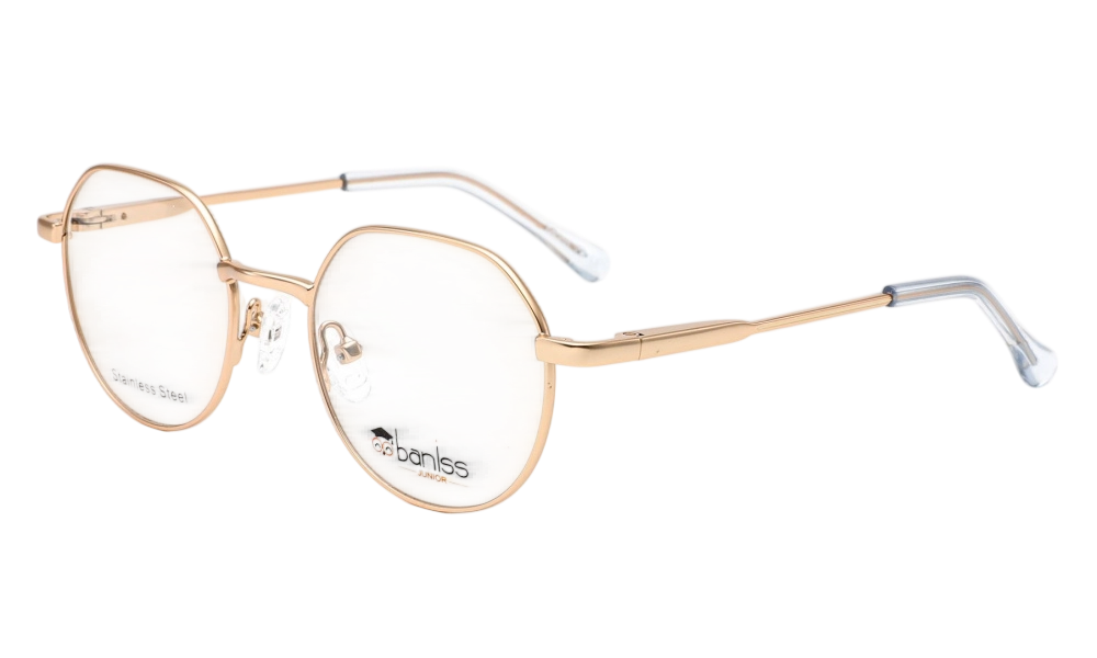 Очки для зрения BANISS BR2147 C01