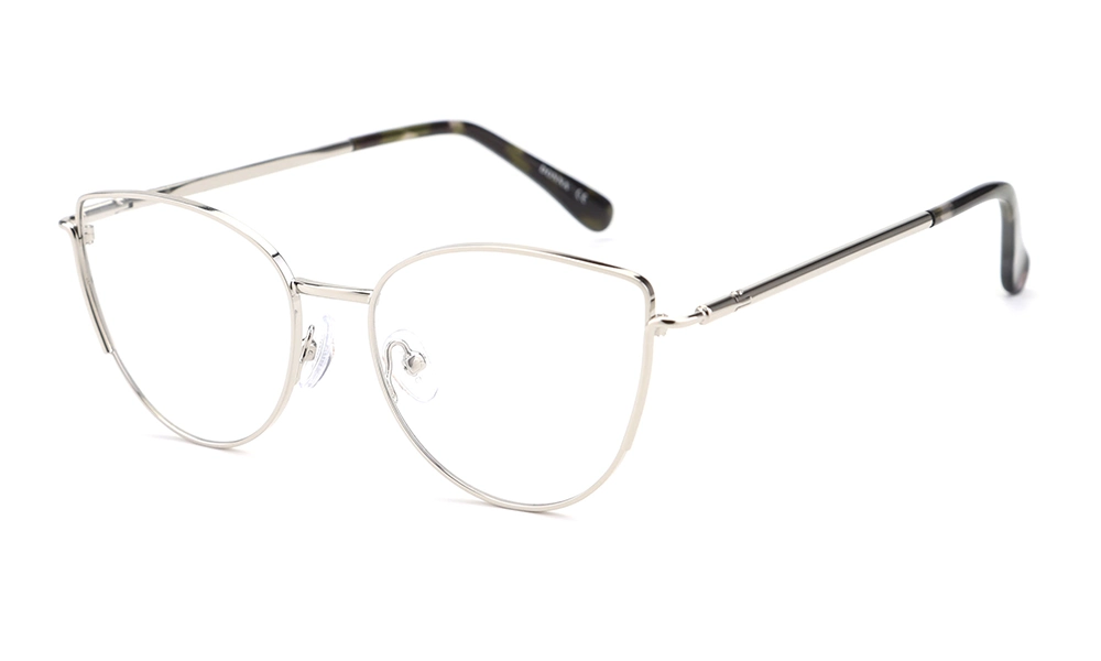 Очки для зрения DONNA DN3190 C3