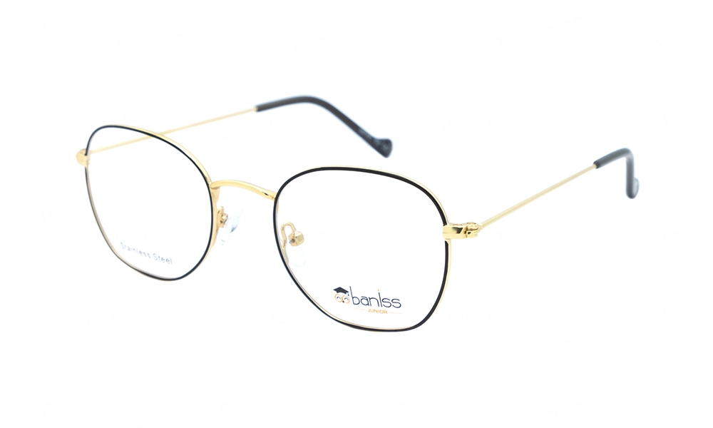 Оправа BANISS BY1012 C02