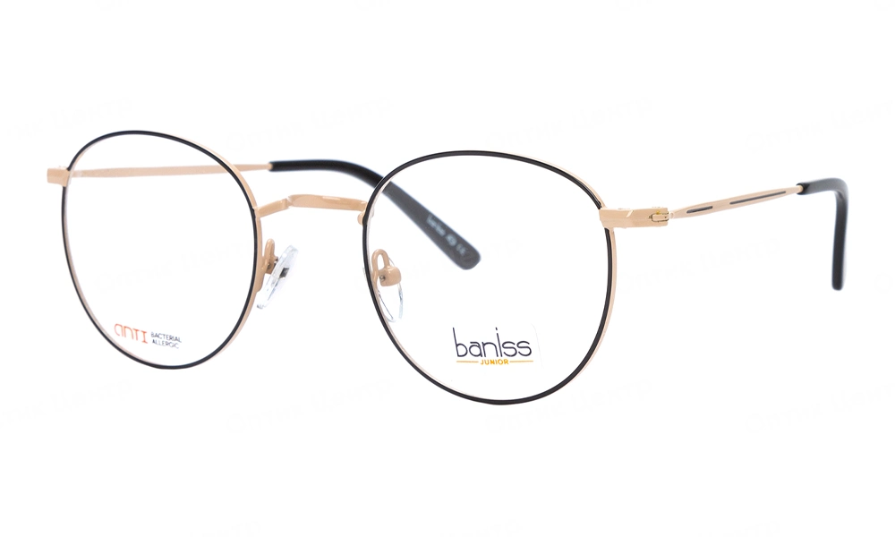Очки для зрения BANISS BR5053 C03