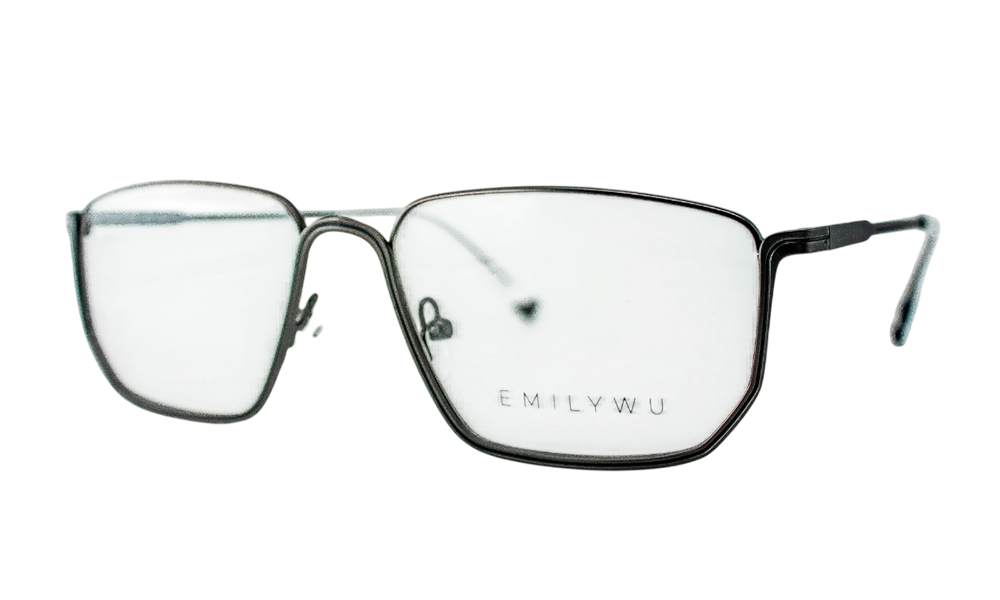Очки для зрения EMILY WU 1191 6031