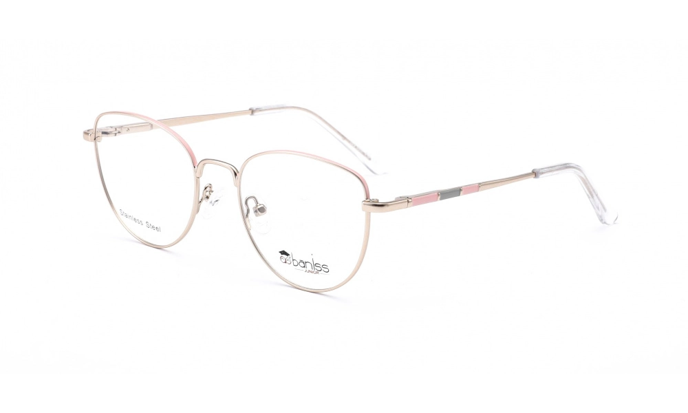 Очки для зрения BANISS BRJ2130 C05