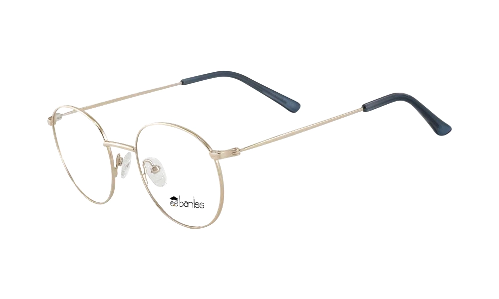 Очки для зрения BANISS BR7039 C02