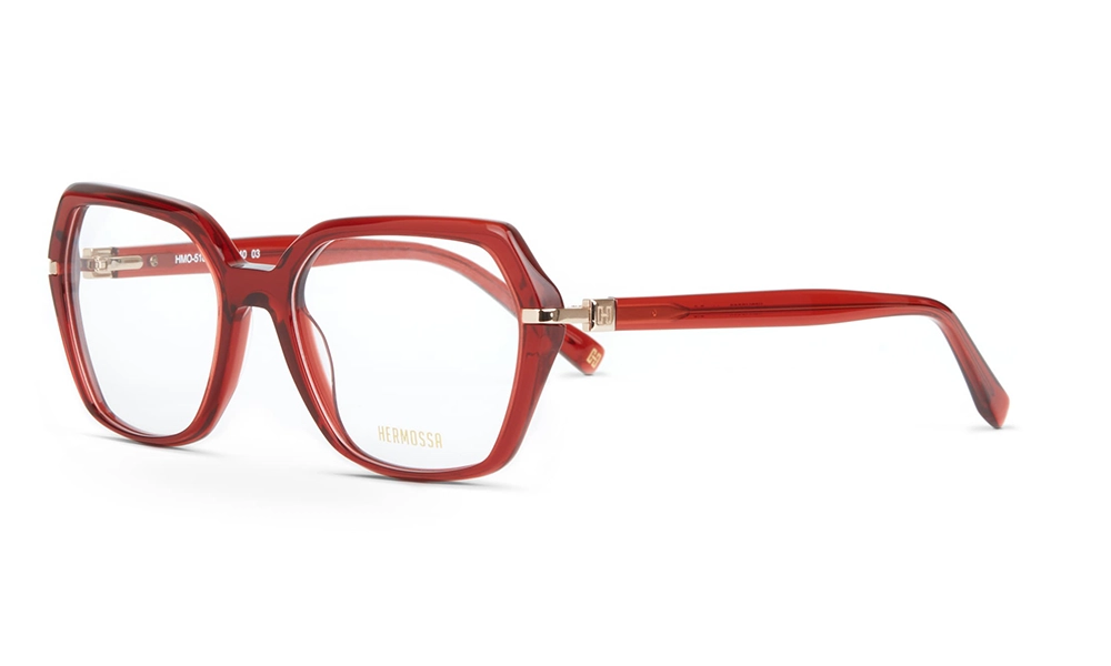 Очки для зрения HERMOSSA HMO 518 C3