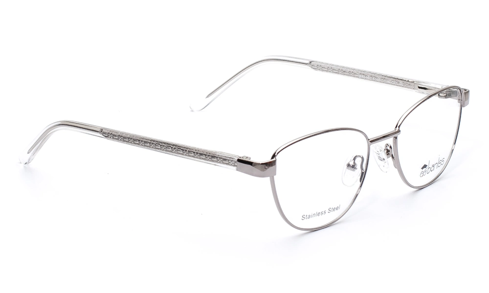 Очки для зрения BANISS BR5100 C02