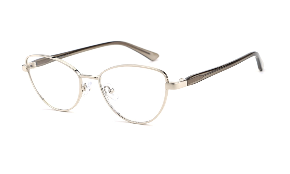 Очки для зрения DONNA DN3159 C5