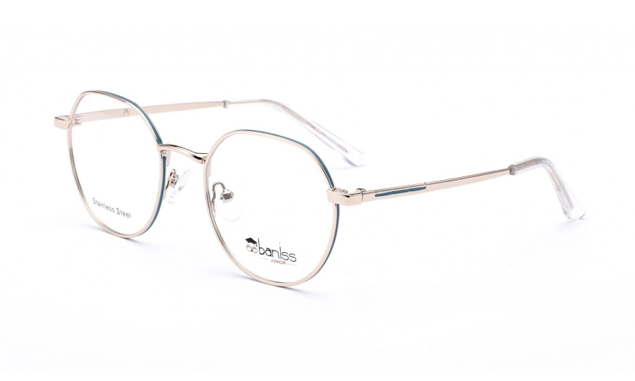 Очки для зрения BANISS BRJ2121 C02