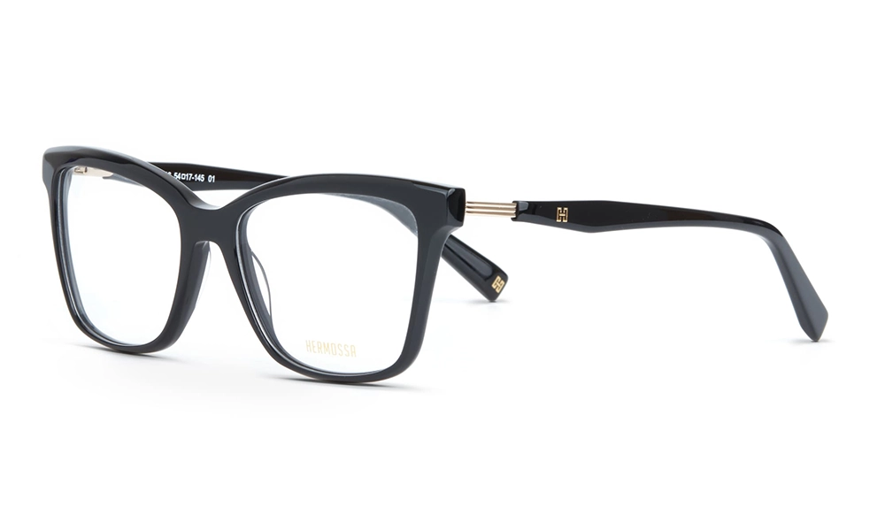 Очки для зрения HERMOSSA HMO 516 C1
