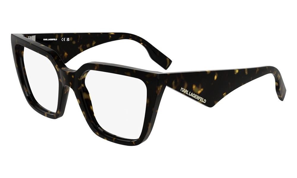 Оправа Karl Lagerfeld KL 6194 242