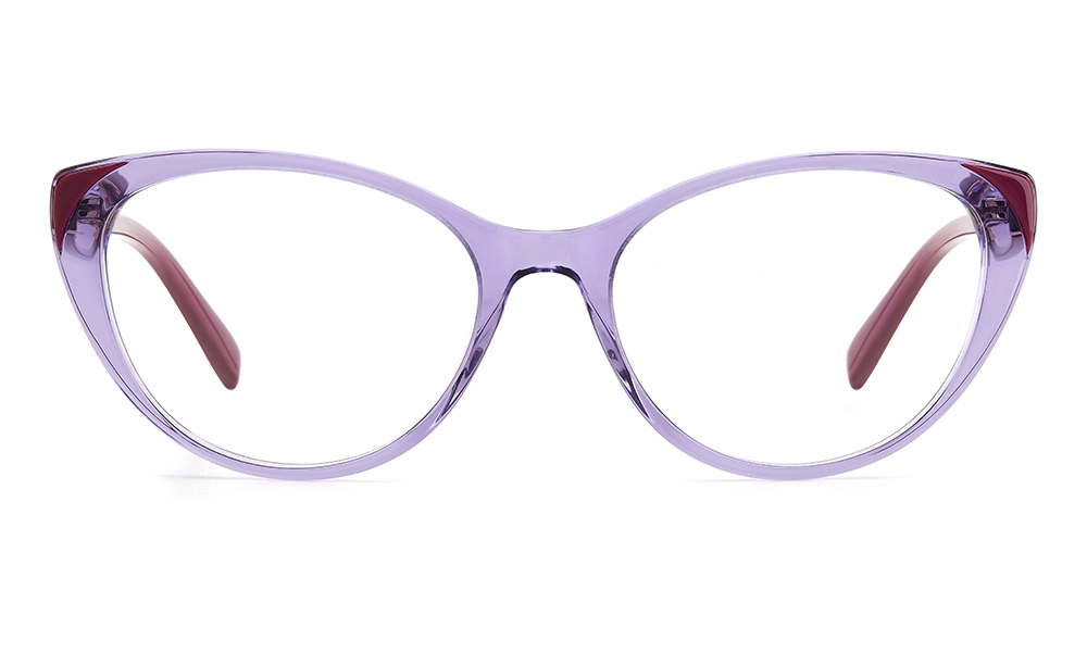 Оправа PIERRE CARDIN PC 8501 789