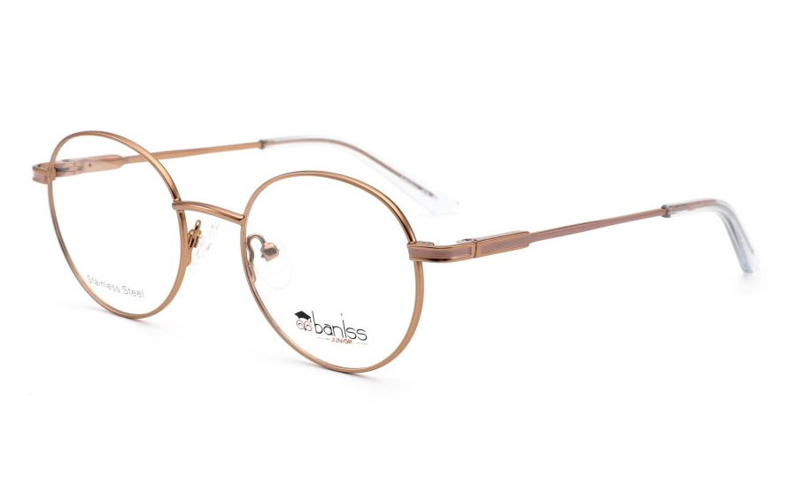 Очки для зрения BANISS BY1015 C02