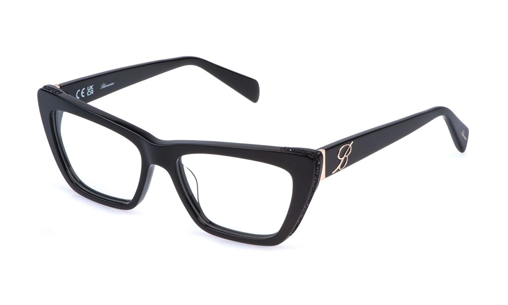 Очки для зрения BLUMARINE 876S 700