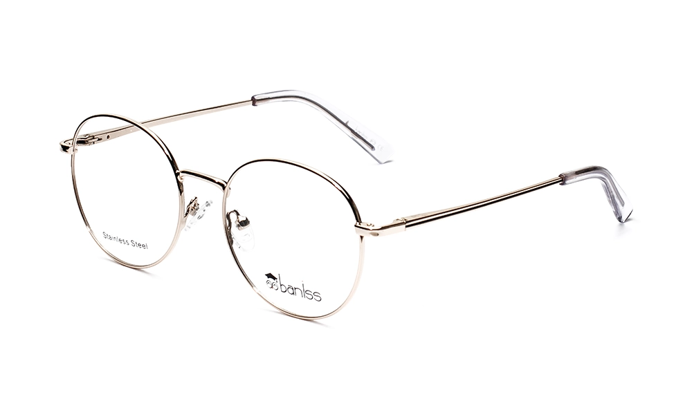 Очки для зрения BANISS BR5096 C01