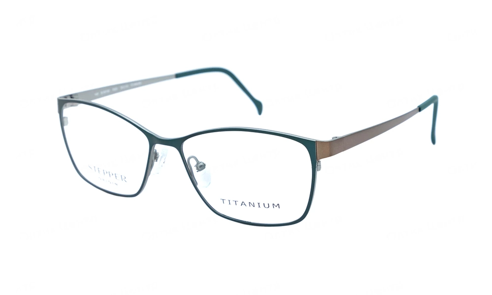 Оправа STEPPER SI-50182 F061
